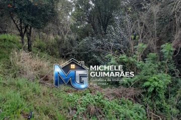 MGV33 (10)